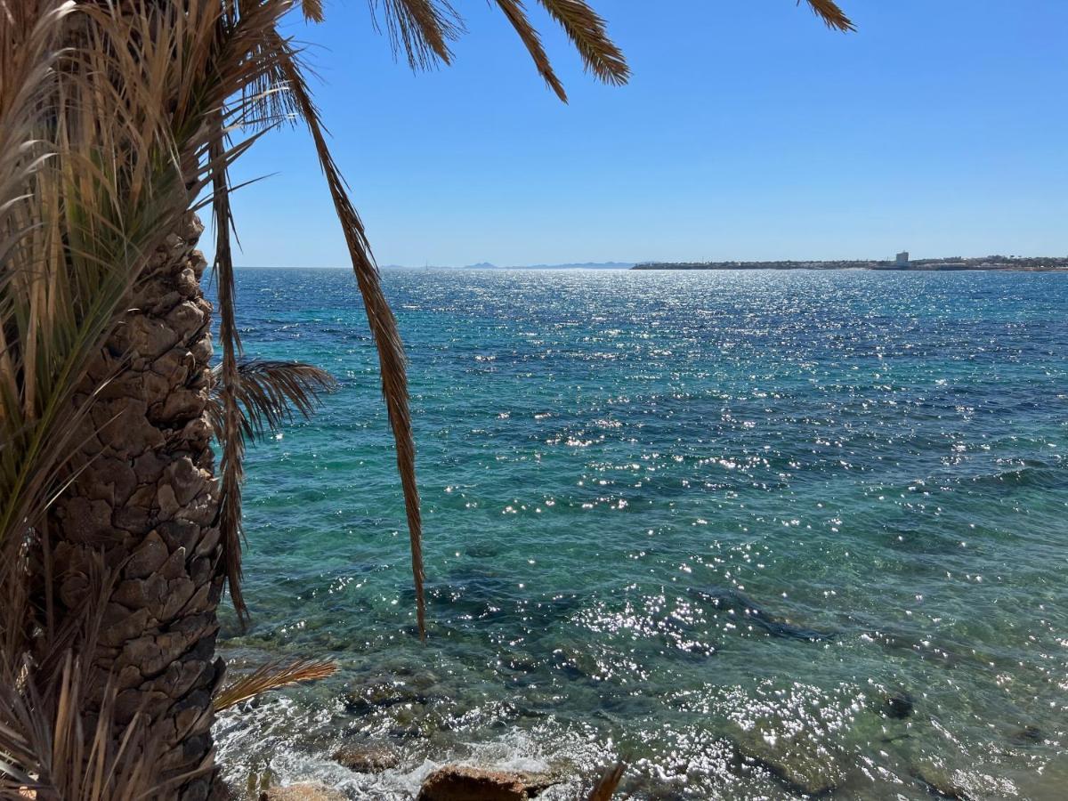 Schoenes Ruhiges Rooftop Apartment Mit Grosser Dachterrasse Torrevieja Eksteriør bilde