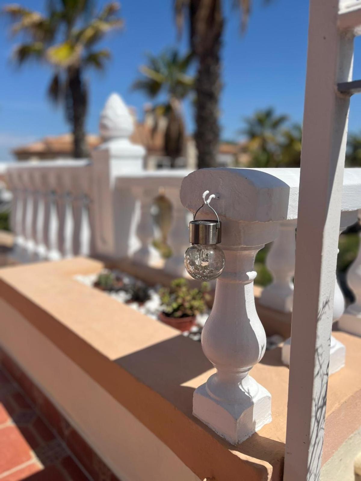 Schoenes Ruhiges Rooftop Apartment Mit Grosser Dachterrasse Torrevieja Eksteriør bilde